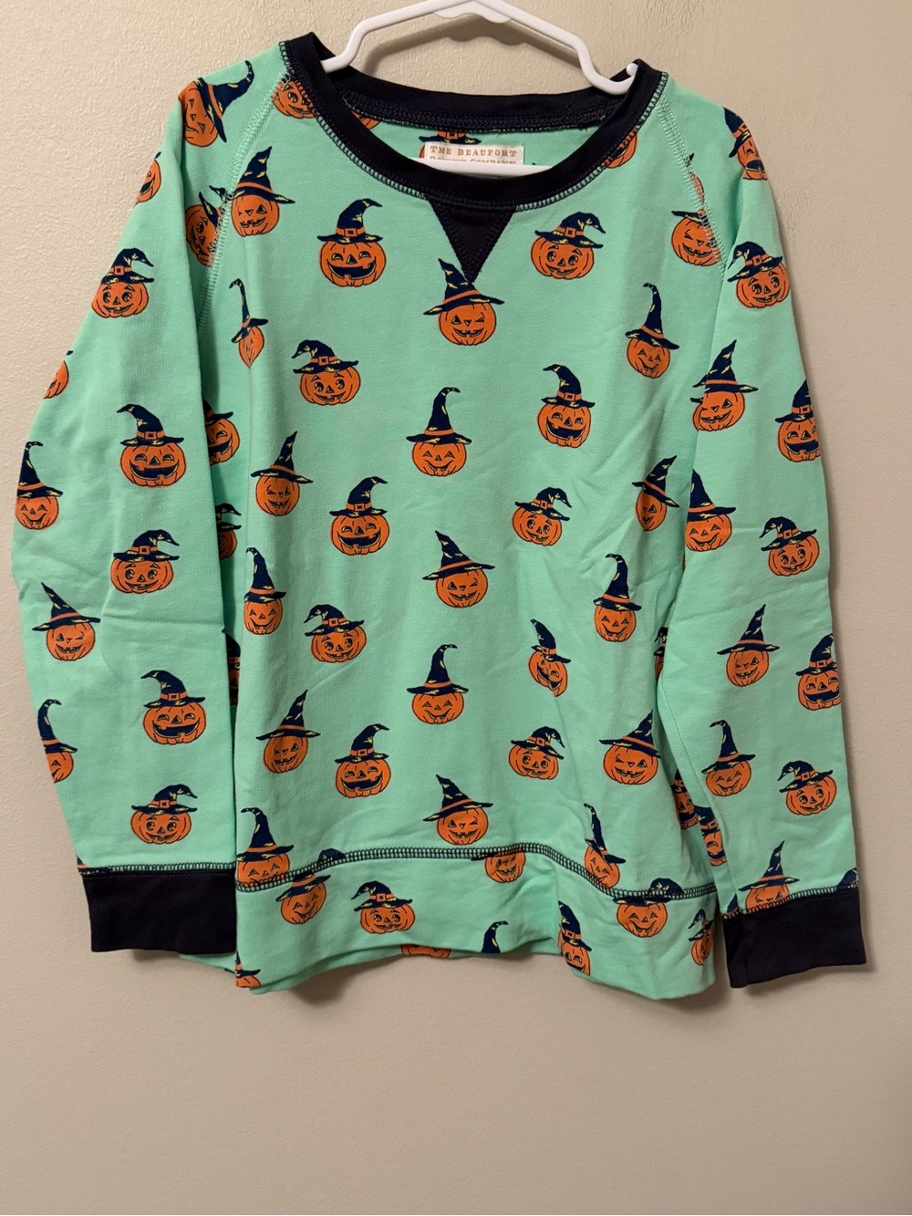 The Beaufort Bonnet Company Kids' Mint Pumpkin Crewneck